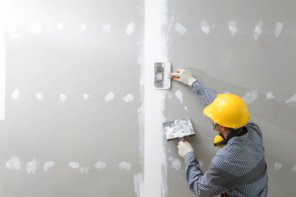 Best Comprehensive Air Testing for Mold Contaminants  in Beardstown, IL