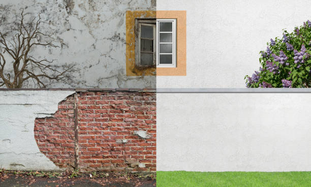 Best Industrial Mold Remediation  in Beardstown, IL